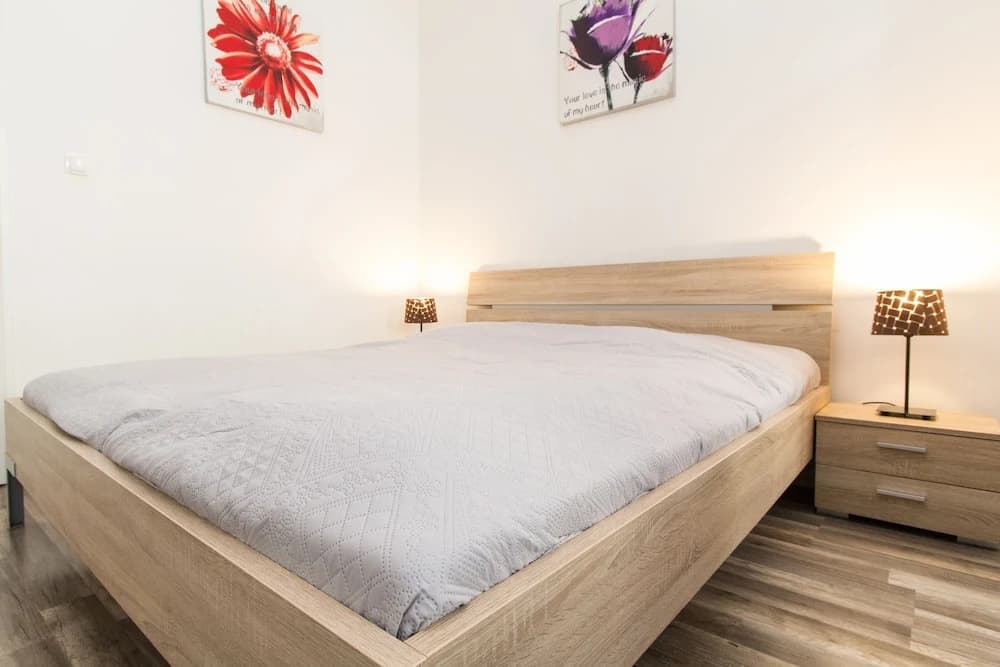 CheckVienna – Apartment Menzelgasse - photo 6