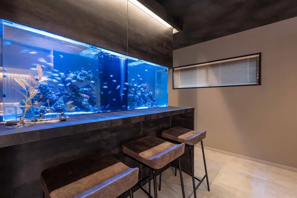 JAPAVISTA Aqua - photo 27