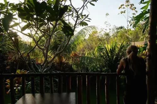 Willy Homestay - photo 8