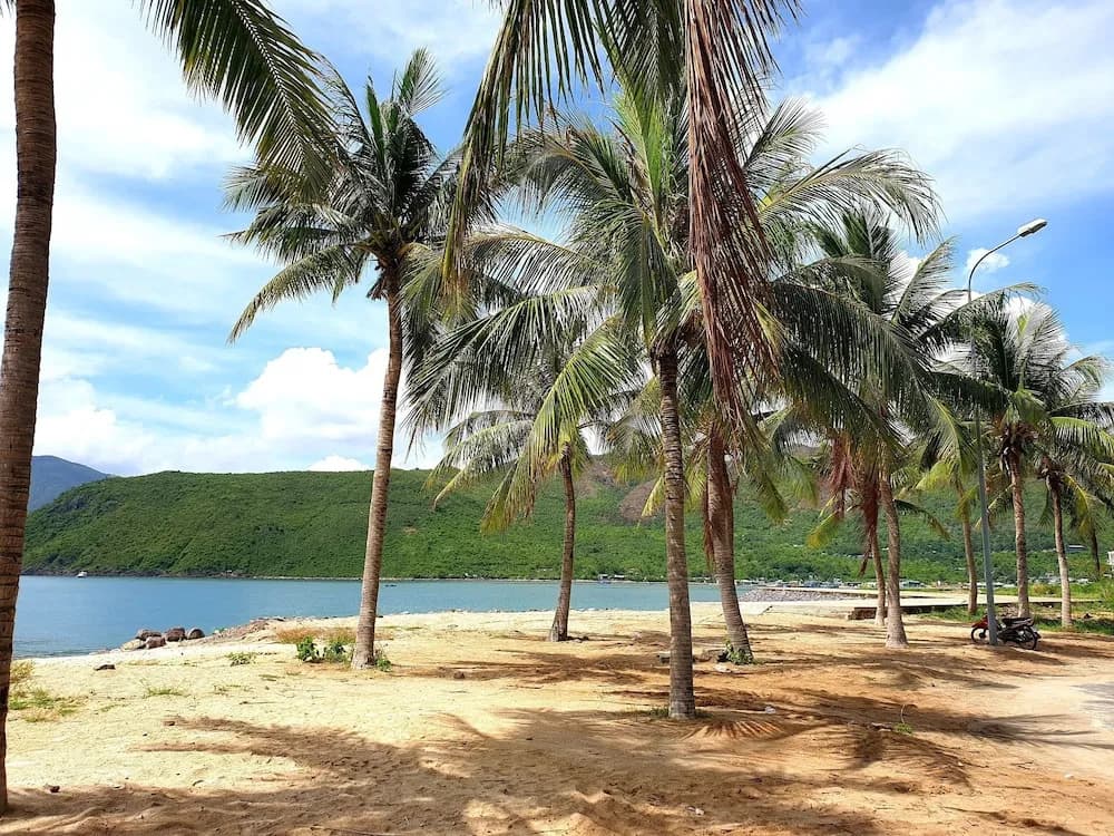 Sunshine Villa - photo 16