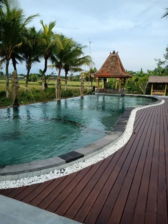 mas village resort - photo 8