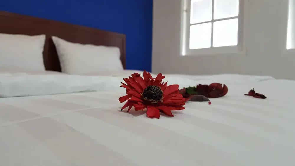 Royal Home Stay - photo 6