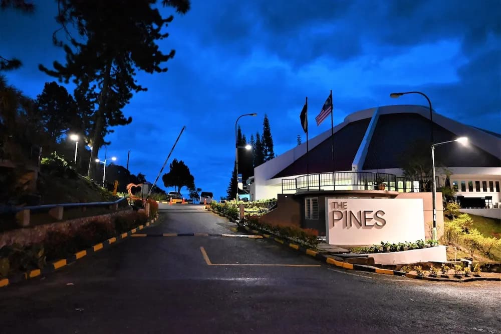 The Pines - photo 10