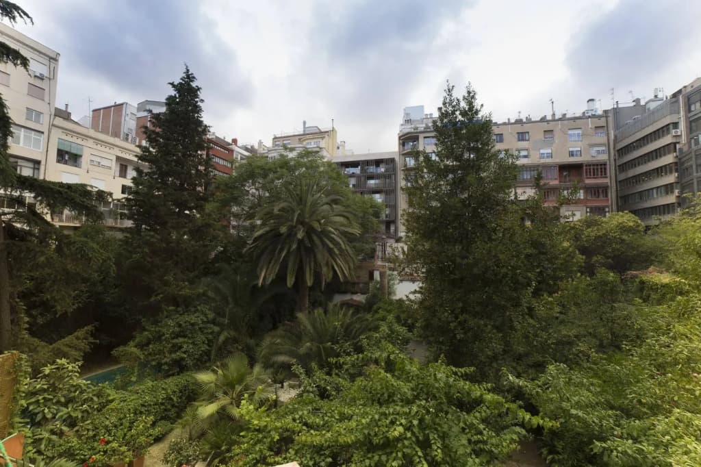 Ciudad Condal - photo 16