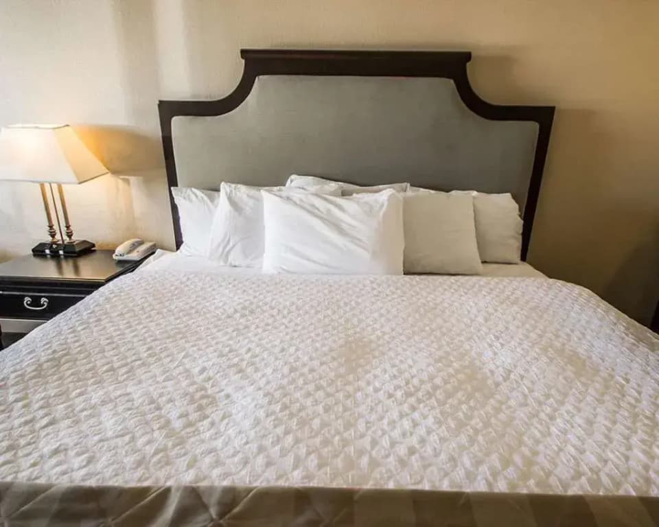 Rodeway Inn Near Florida Mall - photo 15