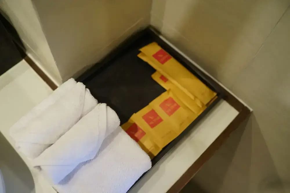 Valstar Hotel Canggu - photo 7