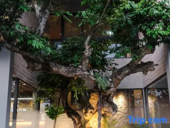 Lush Inn Phuket - photo 22