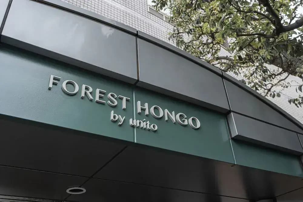 Forest Hongo By Unito - photo 5