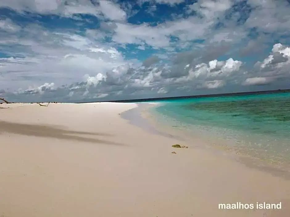 Maalhos Thila Inn - photo 15