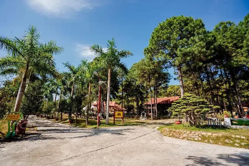 Bai Tu Long Mountain Resort - photo 4