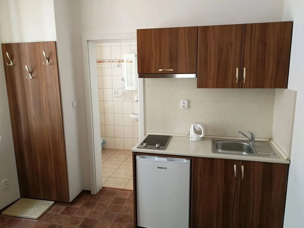 Apartments U Svejku - photo 19