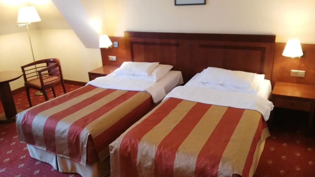 Hotel Villa - photo 5