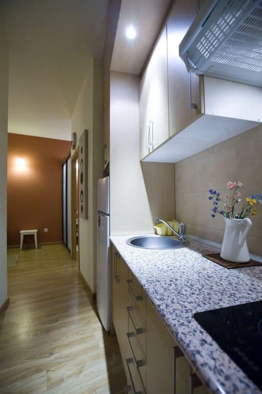 Apartamentos Duque de Alba - photo 12
