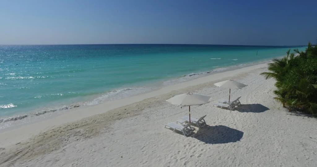 Long Beach Laamu - photo 12