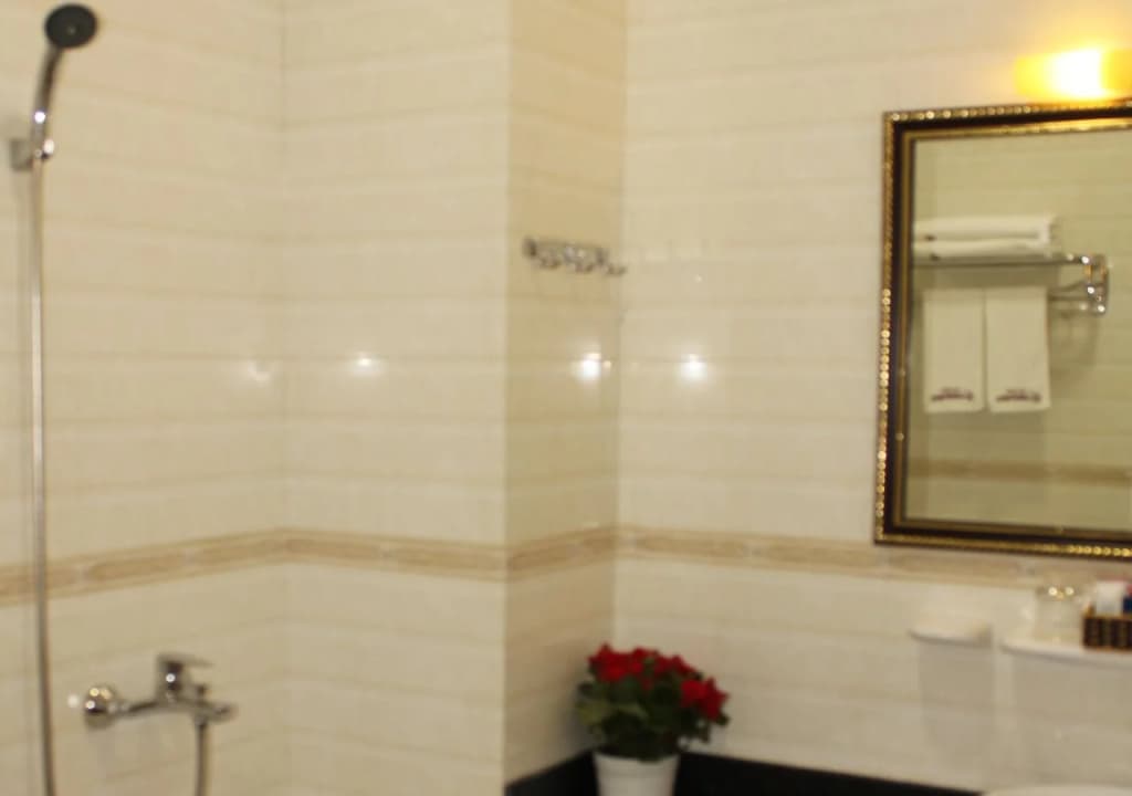 Hạ Long Starlight Hotel - photo 7