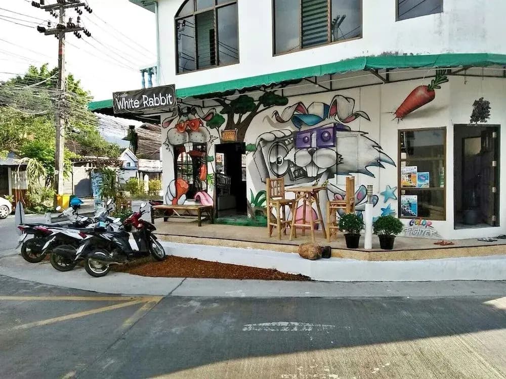 White Rabbit - Hostel - photo 13