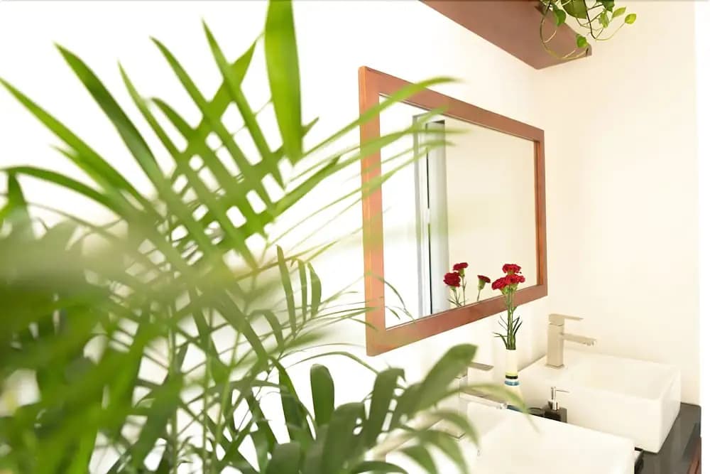 Casa House - photo 8