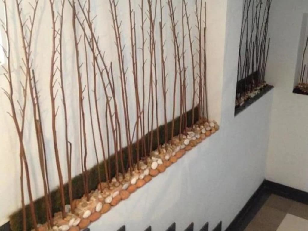 Latin Garden - photo 14