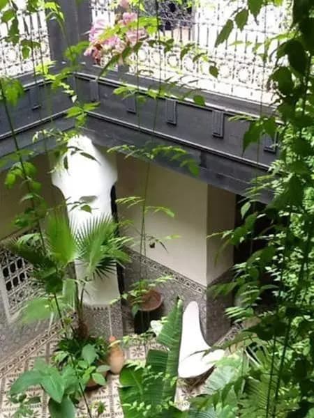 Riad Maiya - main photo