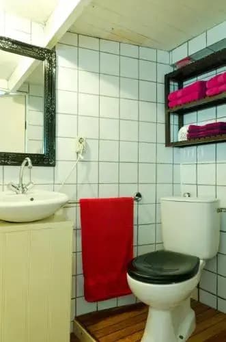 Houseboat Prince-Avalon - photo 10