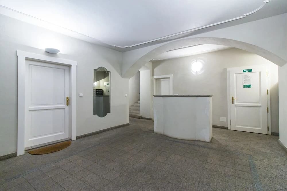 Grand Luxury Apartment Attic Hroznova - photo 13