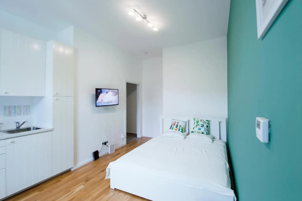 Modern apartment Spanelska - photo 2