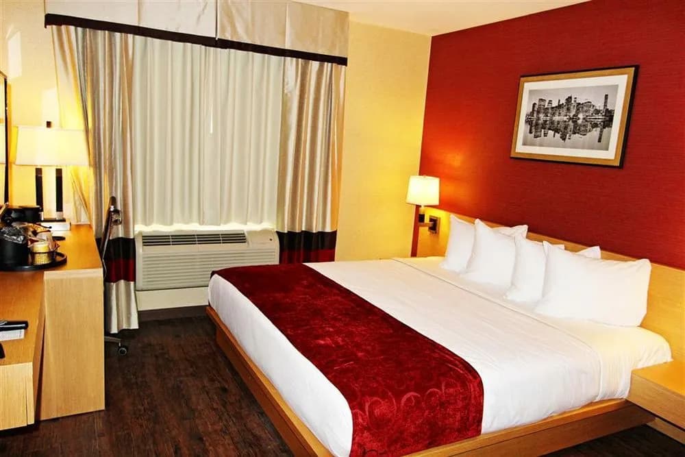 Hotel Lynx - photo 5