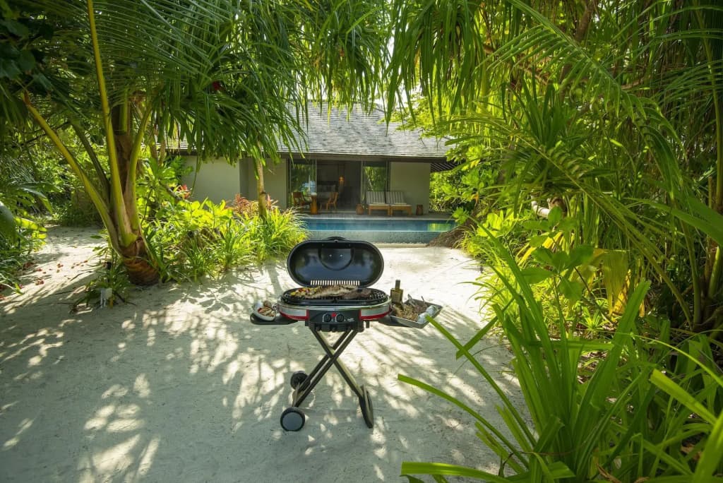 The Residence Maldives at Dhigurah Hotel - photo 23