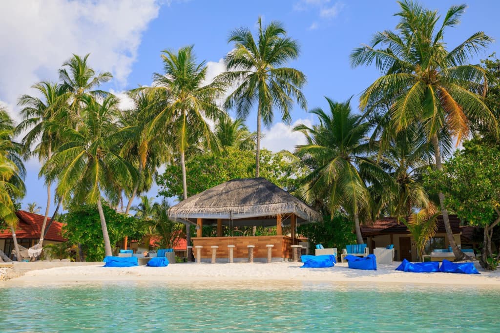 Niva Kurumba Maldives Resort - photo 49