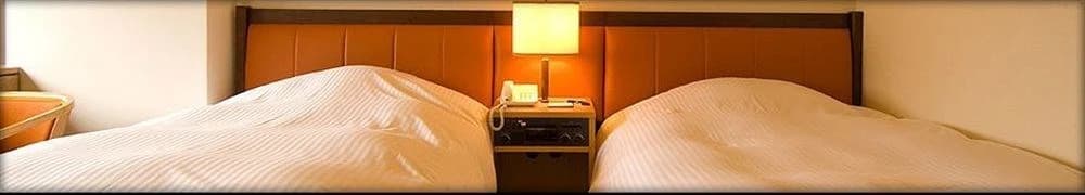 Hotel Ginza Raffinato - photo 1