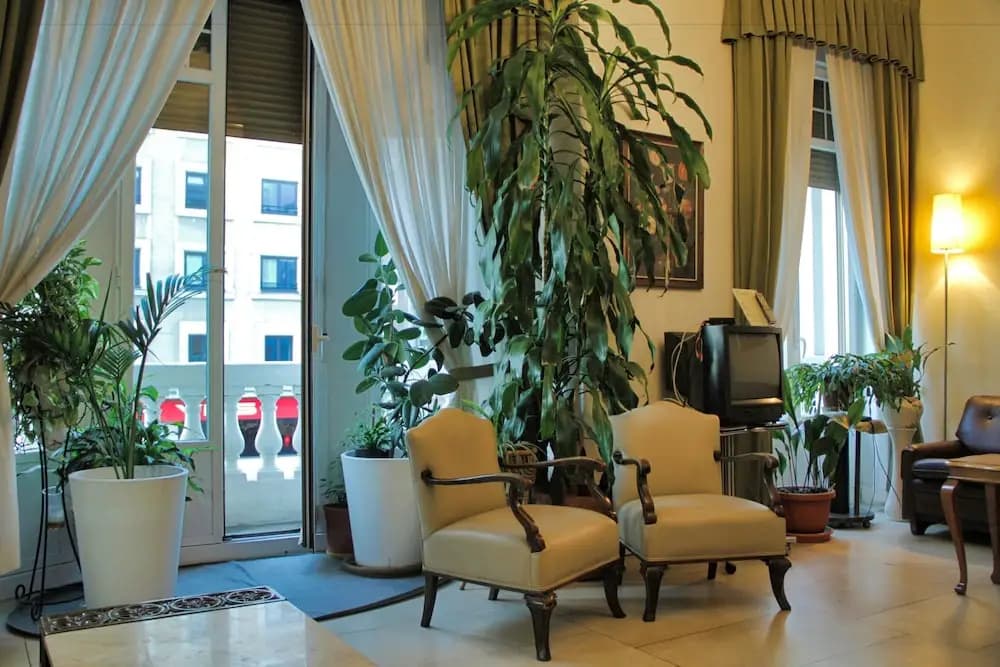 Hostal Excelsior - photo 13