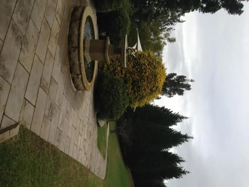Loxley On Bellbird Hill - photo 12