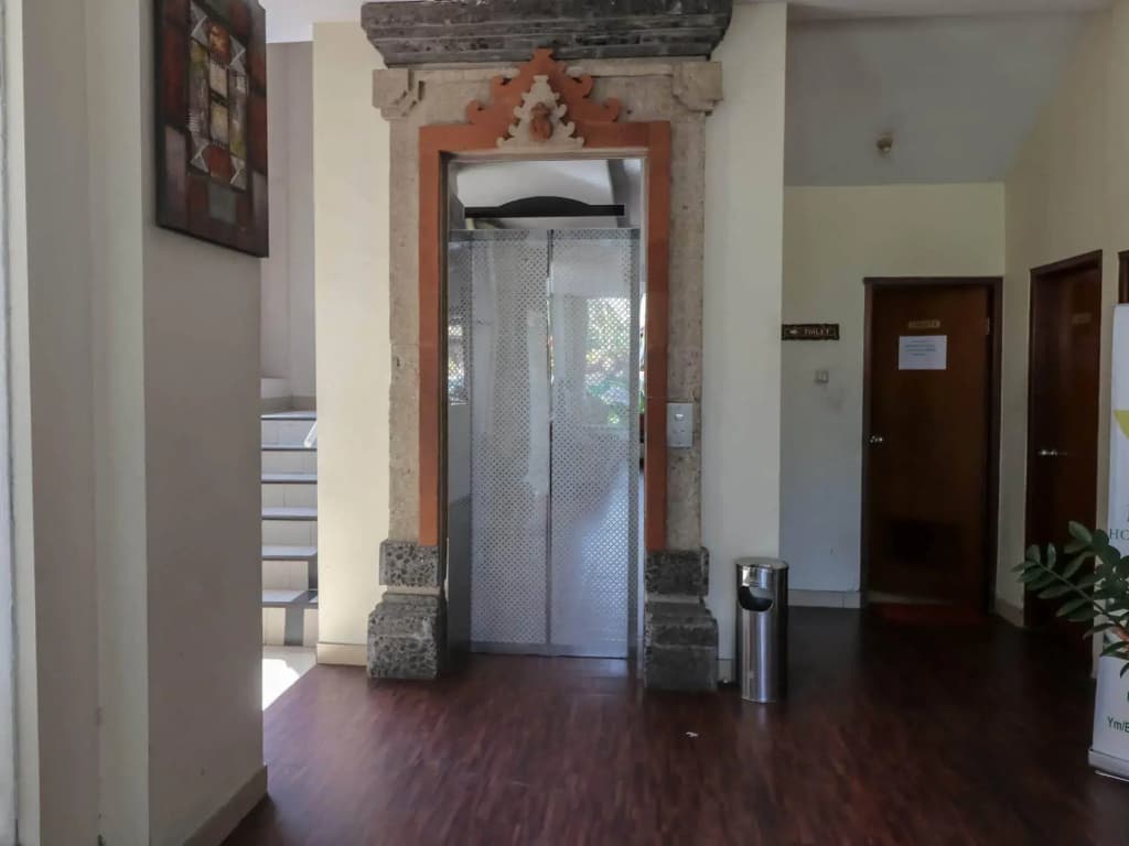 Puri Dibia Hotel - photo 14