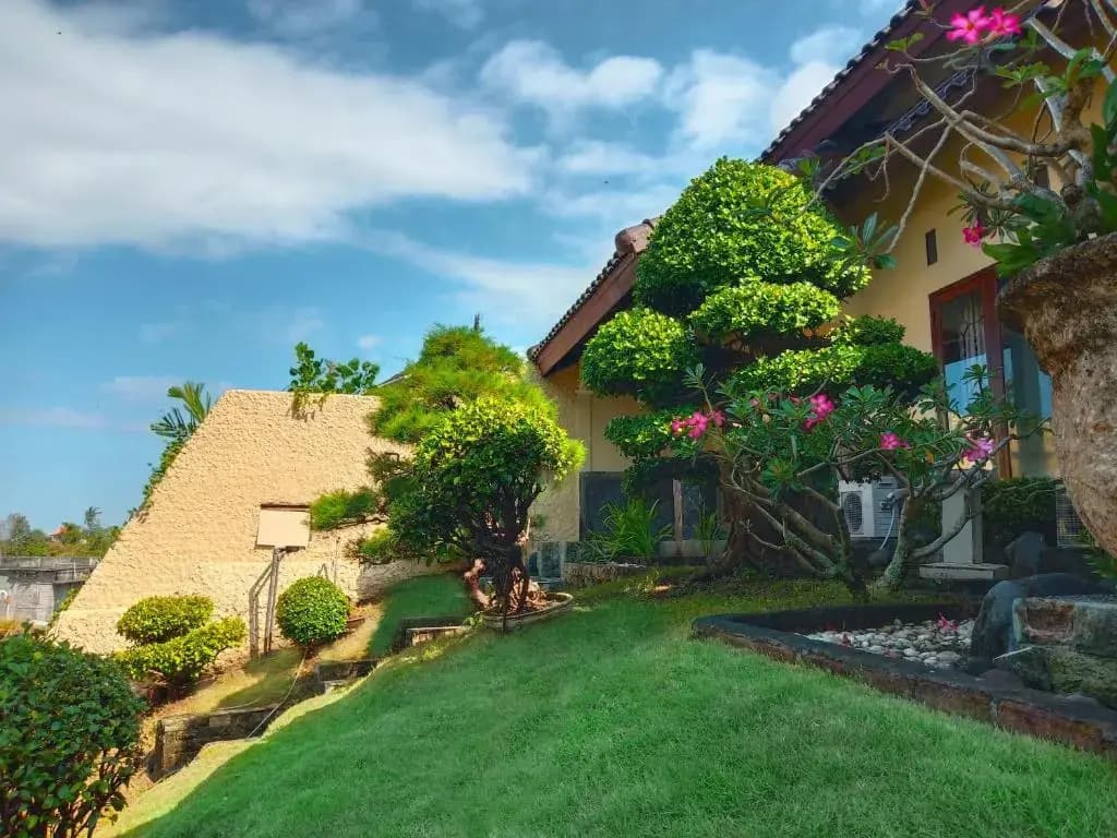 The Terrace House - photo 11