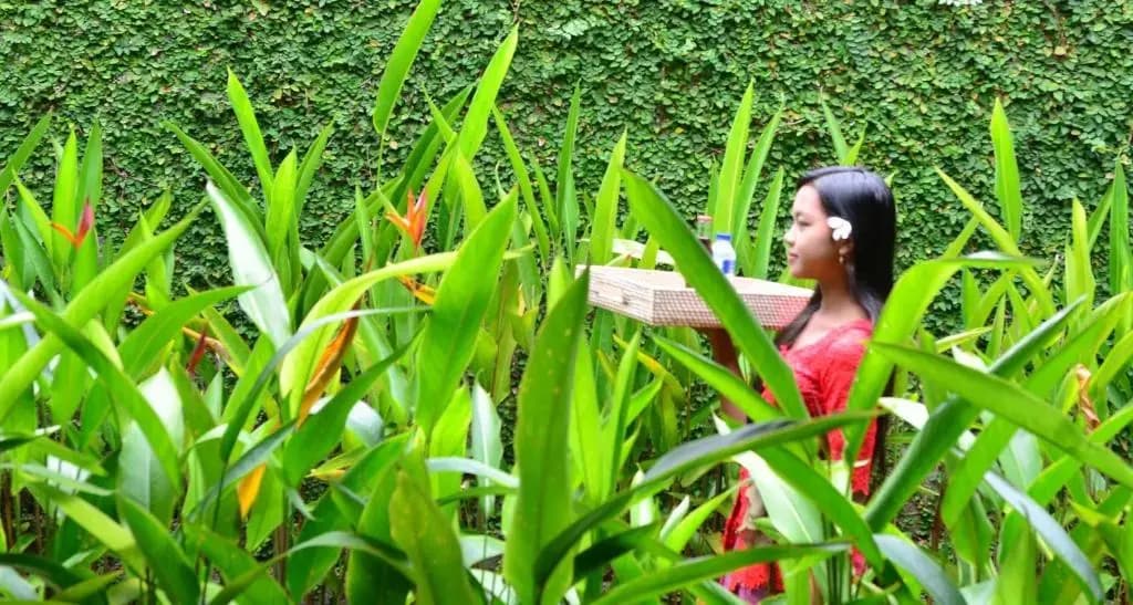 Griya Sriwedari - photo 23