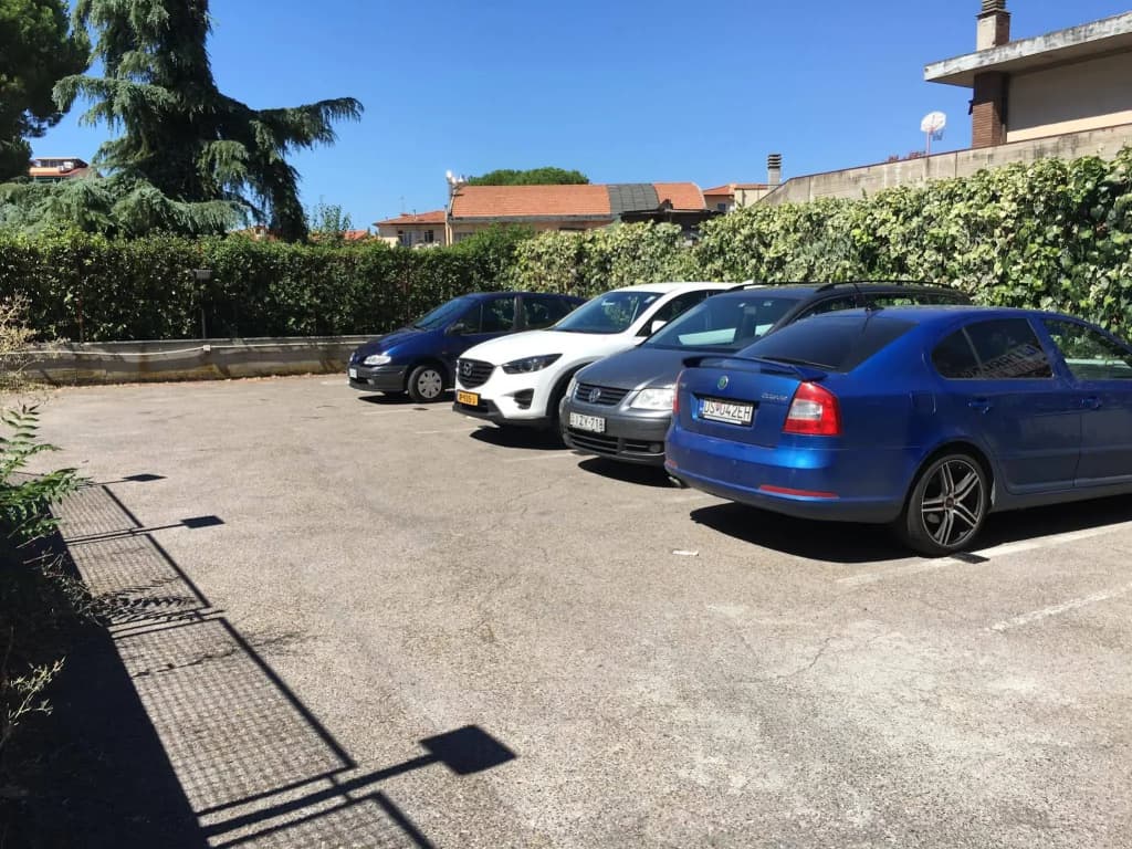 Hotel Alex - photo 16
