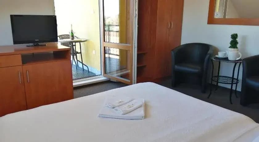 Pension Paldus - photo 4