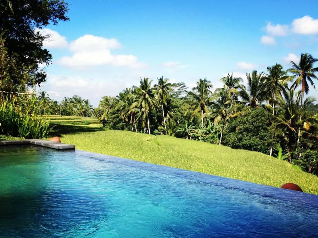 Bali Jiwa Villa - photo 2