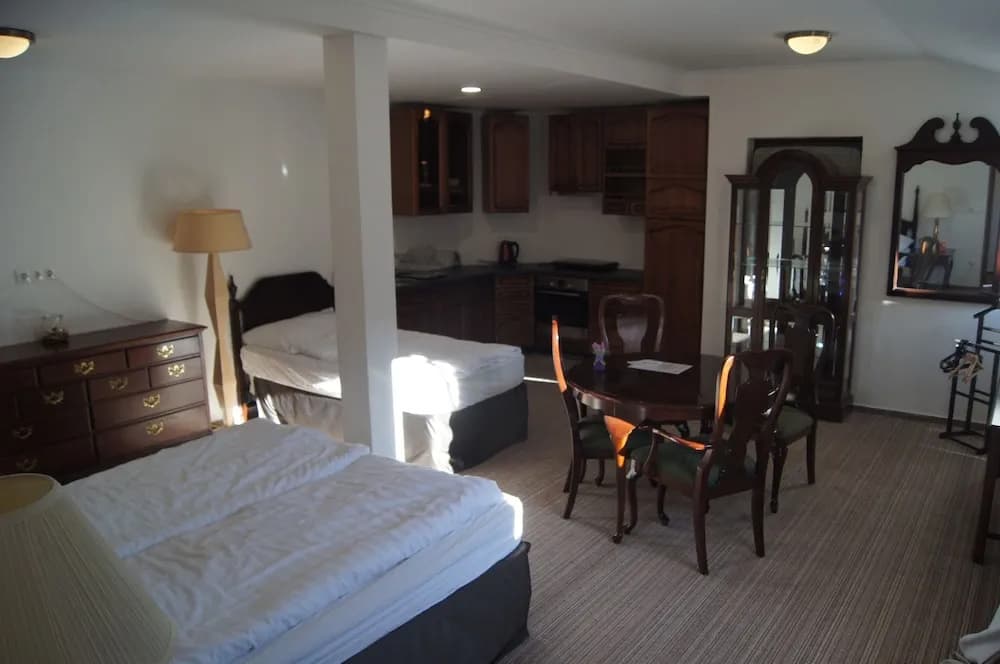 Opera Loft Apartments - photo 3
