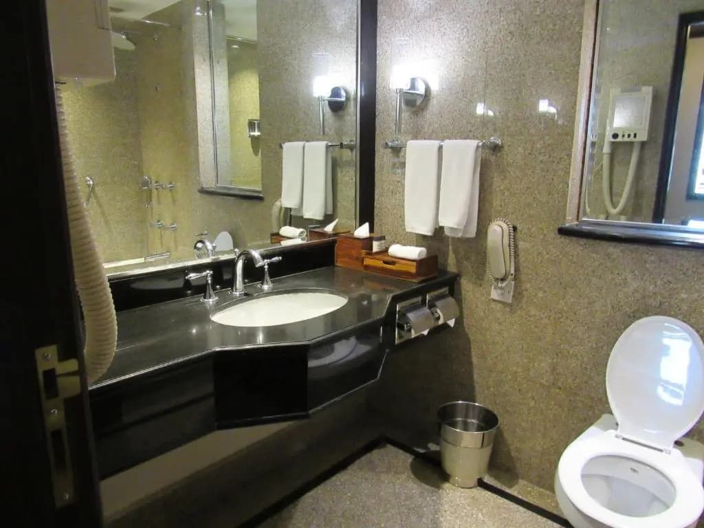 Eros Hotel New Delhi by IHG - photo 9