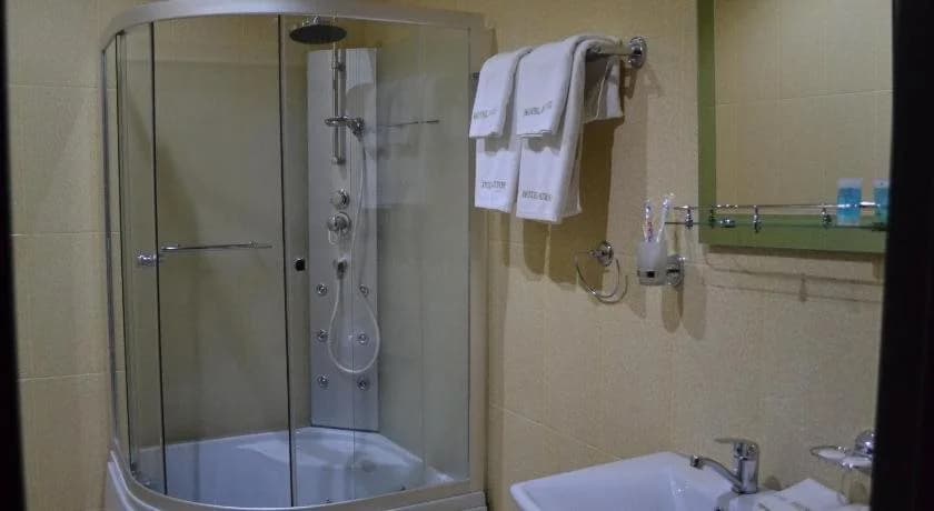 Hotel Patrioti - photo 9