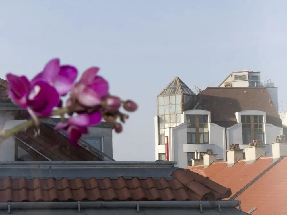 Mariahilf Terrace by Welcome2vienna - photo 1
