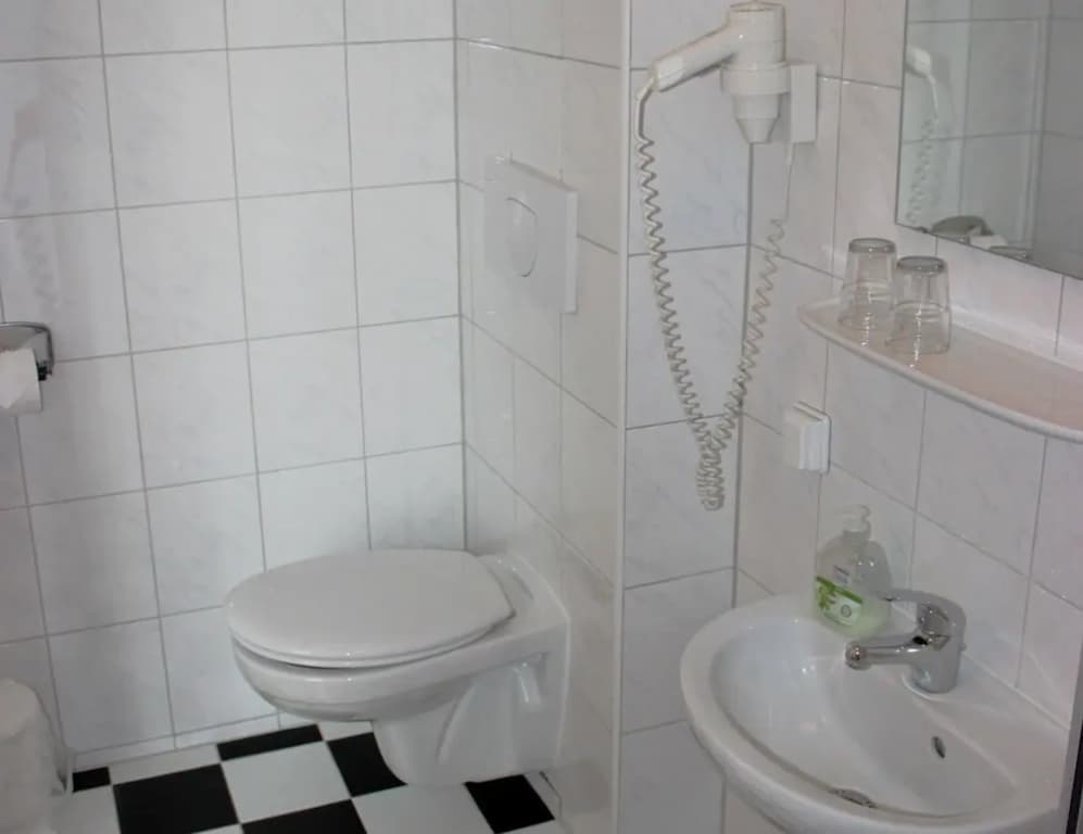 Hotel Pension Rheingold - photo 7