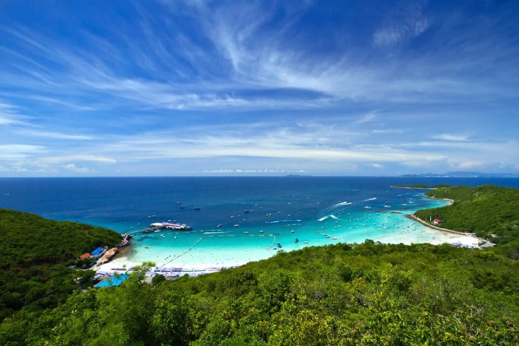 The Homey resort - photo 2