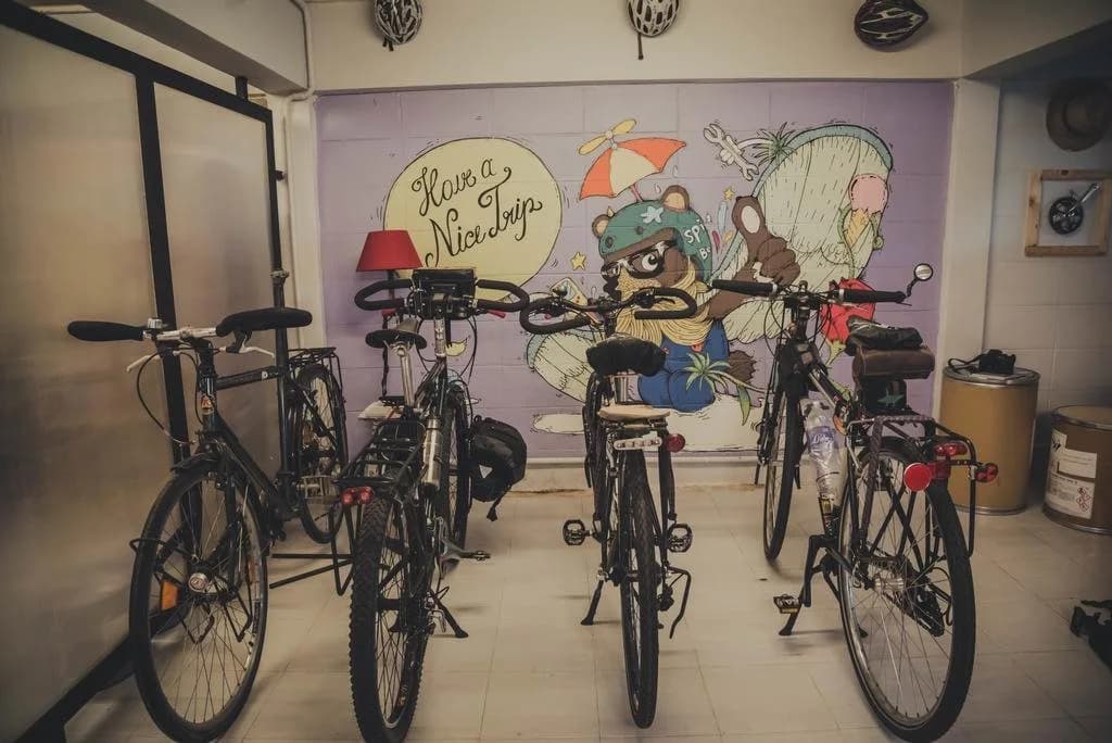 Spinning Bear Hostel - photo 7