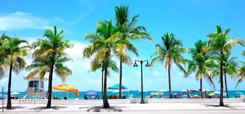 Your Miami Base With Free Parking - photo 21