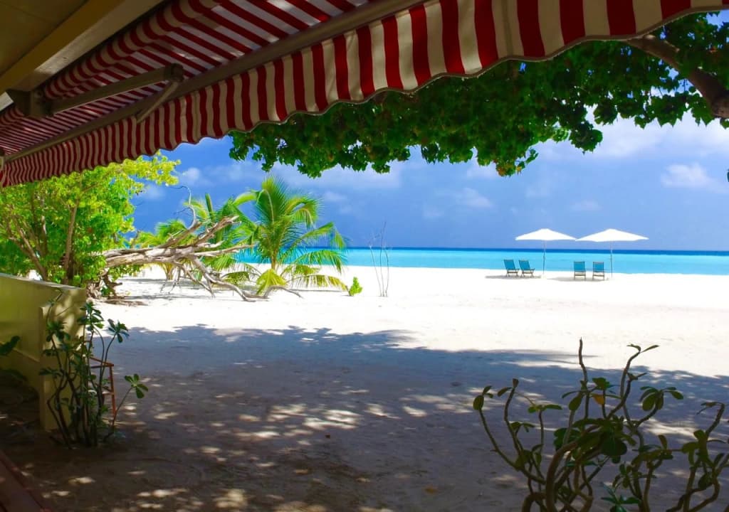 Luau Beach Inn - photo 22