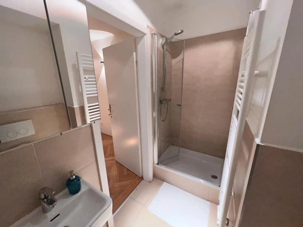 Exclusive Apartment Center Vienna - photo 9