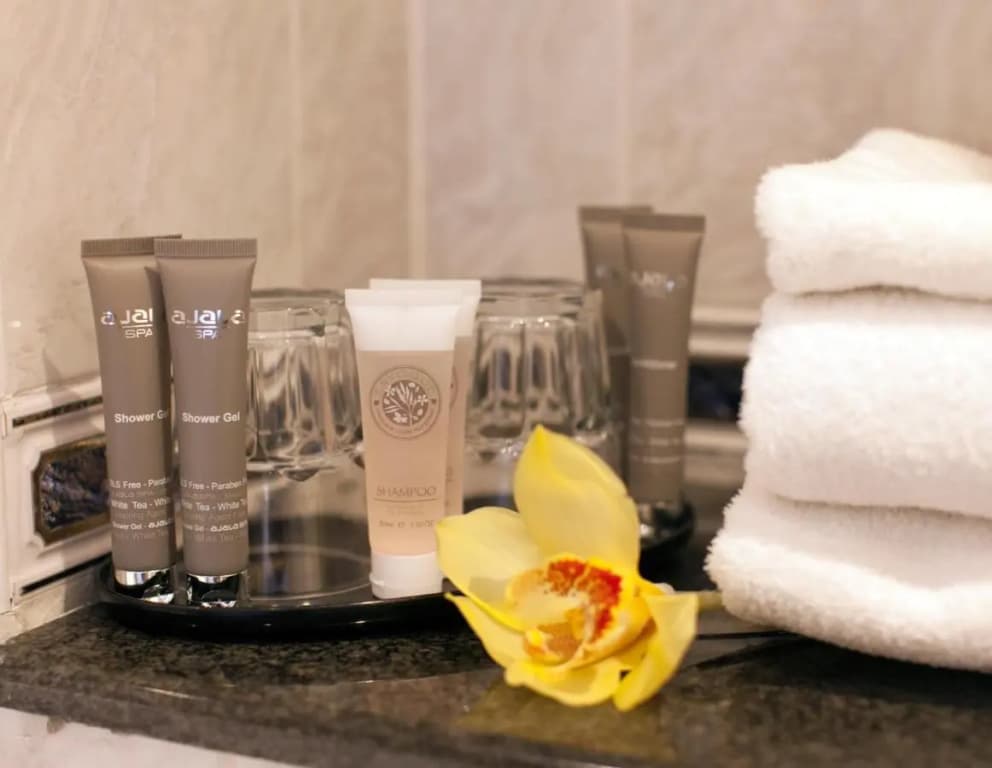 Gem Strathmore Hotel - photo 42