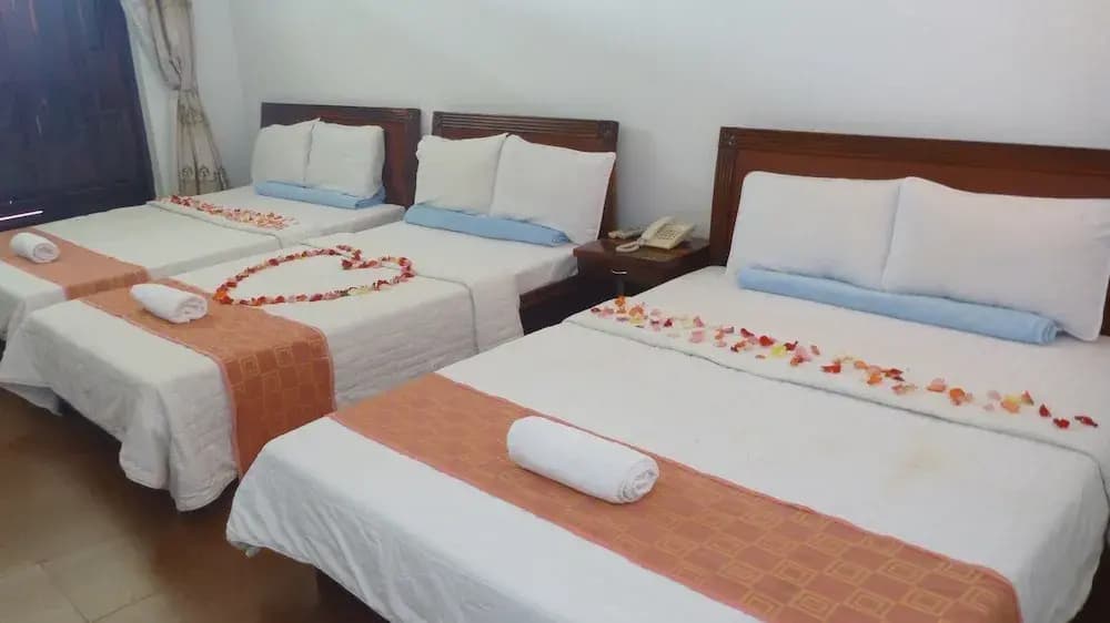 Bien Viet Hotel - photo 5